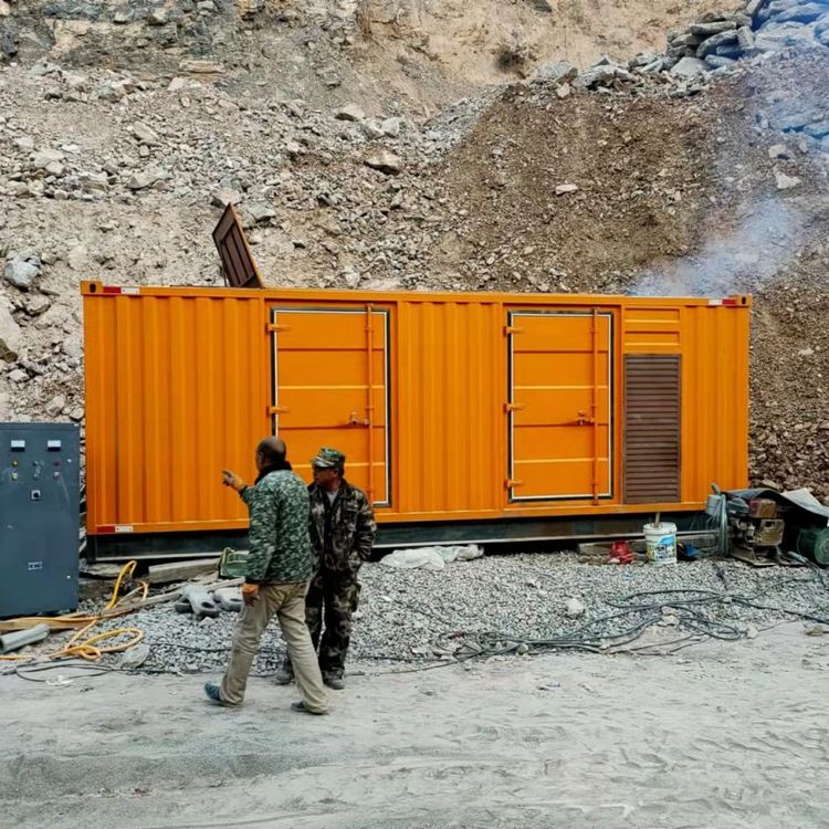 林甸如何选择适合自己的 800KW 柴油发电机组？